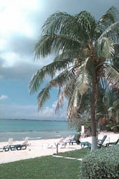 Beach at the front of Treasure Island Resort
