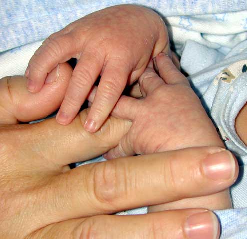 Baby Hands